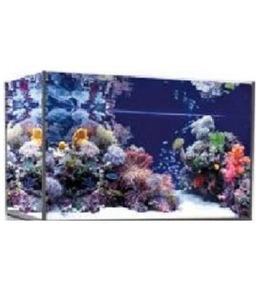 Vasca Acquario Artigianale Professionale IN TOTAL VETRO EXTRA CHIARO - 60x50x40h - 120LT (solo vasca)