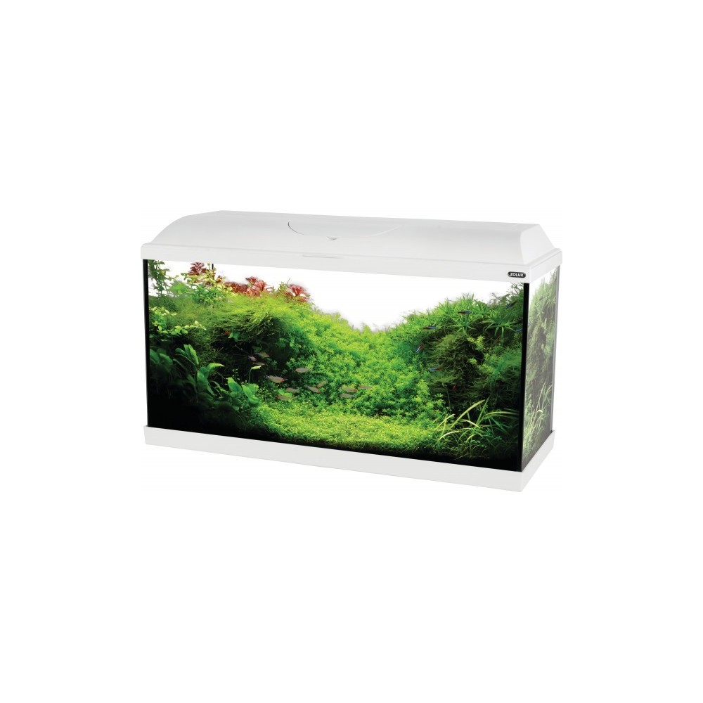 Simply LED 60 Set Acquario Acqua Dolce Completo Di Luce LED, Filtro E  Riscaldatore 60L