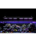 Reef Flare Pro M - Plafoneira Led per Acquari marini di barriera 160w (black or white))