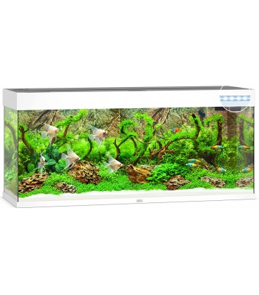 Juwel Acquario Rio 240 Bianco (Solo Acquario - Nuovo Modello con Illuminazione Led)