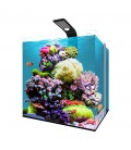 Aqpet Kubic Reef Box 40 Acquario Completo Acqua marina 40x40x40h