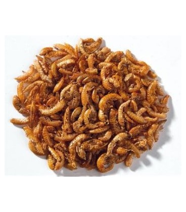 Ottavi gammarus tartarughe 1000 ml/120 gr