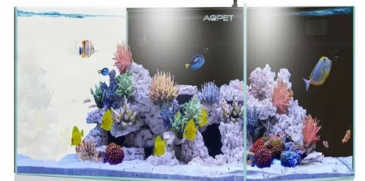 AQPet Vasca Acquario Acqua90 Reef in total vetro extrachiaro 90x50x50h