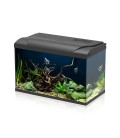 Aqpet Simply LED 60 Set Acquario Acqua Dolce Completo Di Luce LED, Filtro E Riscaldatore 60L