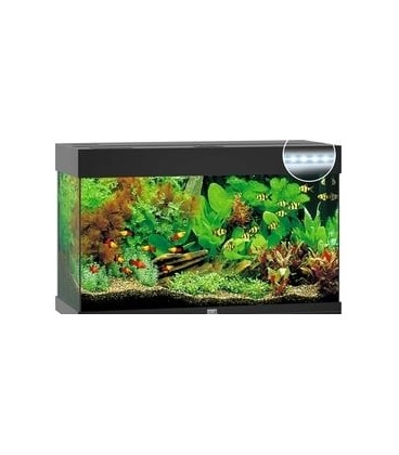 Juwel acquario Rio 125 nero con illuminazione a led (solo acquario - senza supporto)