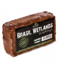 Terrario Brasil Wetlands fibra di cocco 8lt- 650gr