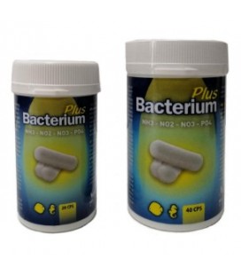 Aquili bacterium plus 20 capsule