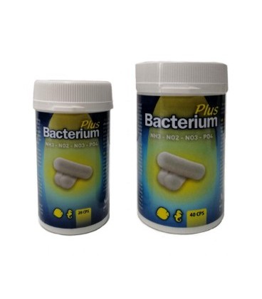 Aquili bacterium plus 20 capsule