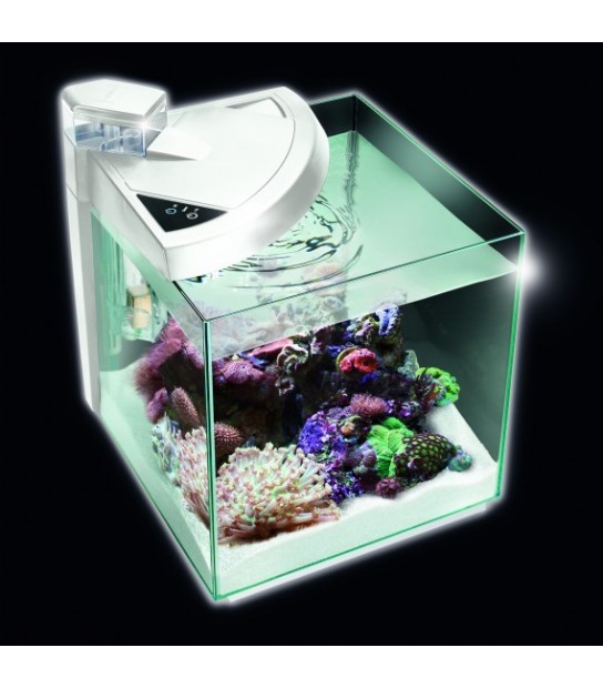 Zolux Acquario Iseo 60 Led White - acquario 60 L - 60x30x42h cm completo di  fltro, riscaldatore e illuminazione a led - bianco