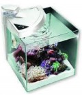 Newa Acquario Newamore Marine NMO 30 Bianco 28 litri con Supporto