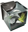 Newa Acquario Newamore Freshwater NMO 50 Nero 45 litri con Supporto