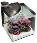 Newa Acquario Newamore Marine NMO 50R Nero 45 litri con Supporto